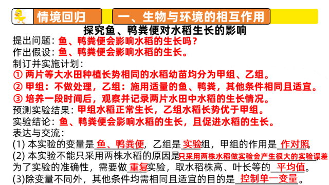 中考复习课件《生物与环境》细讲“稻-鱼-鸭”生态种养模式,还有学历案资料哦~丨名师系列 第11张