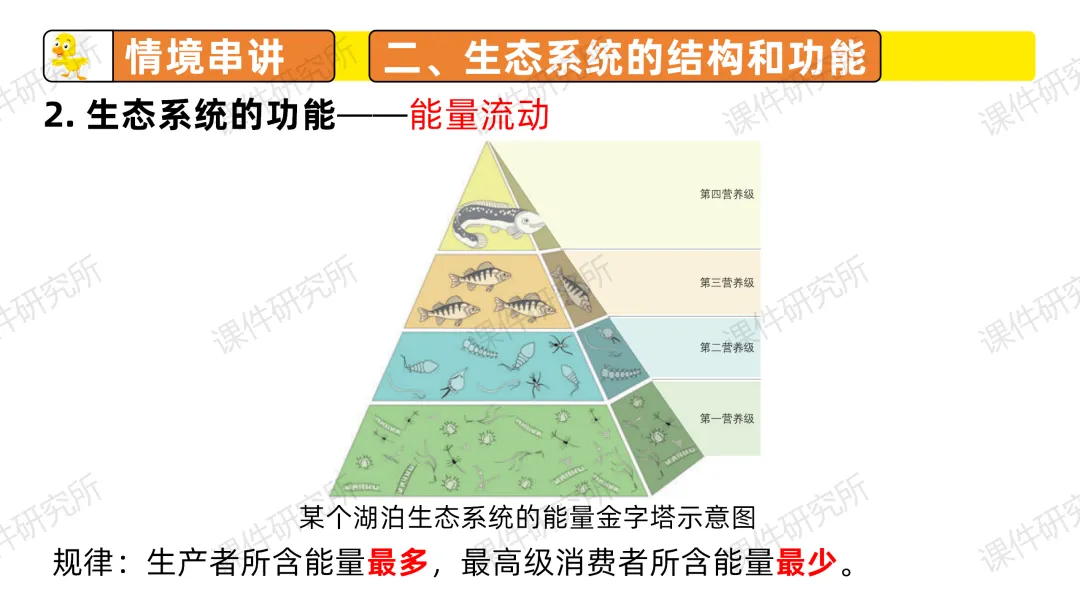 中考复习课件《生物与环境》细讲“稻-鱼-鸭”生态种养模式,还有学历案资料哦~丨名师系列 第30张