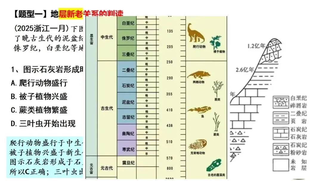 高考真题中地质剖面图考法与应对策略2026版 第15张