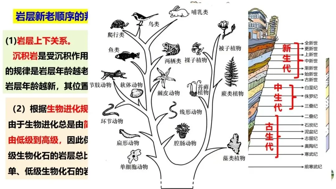高考真题中地质剖面图考法与应对策略2026版 第17张