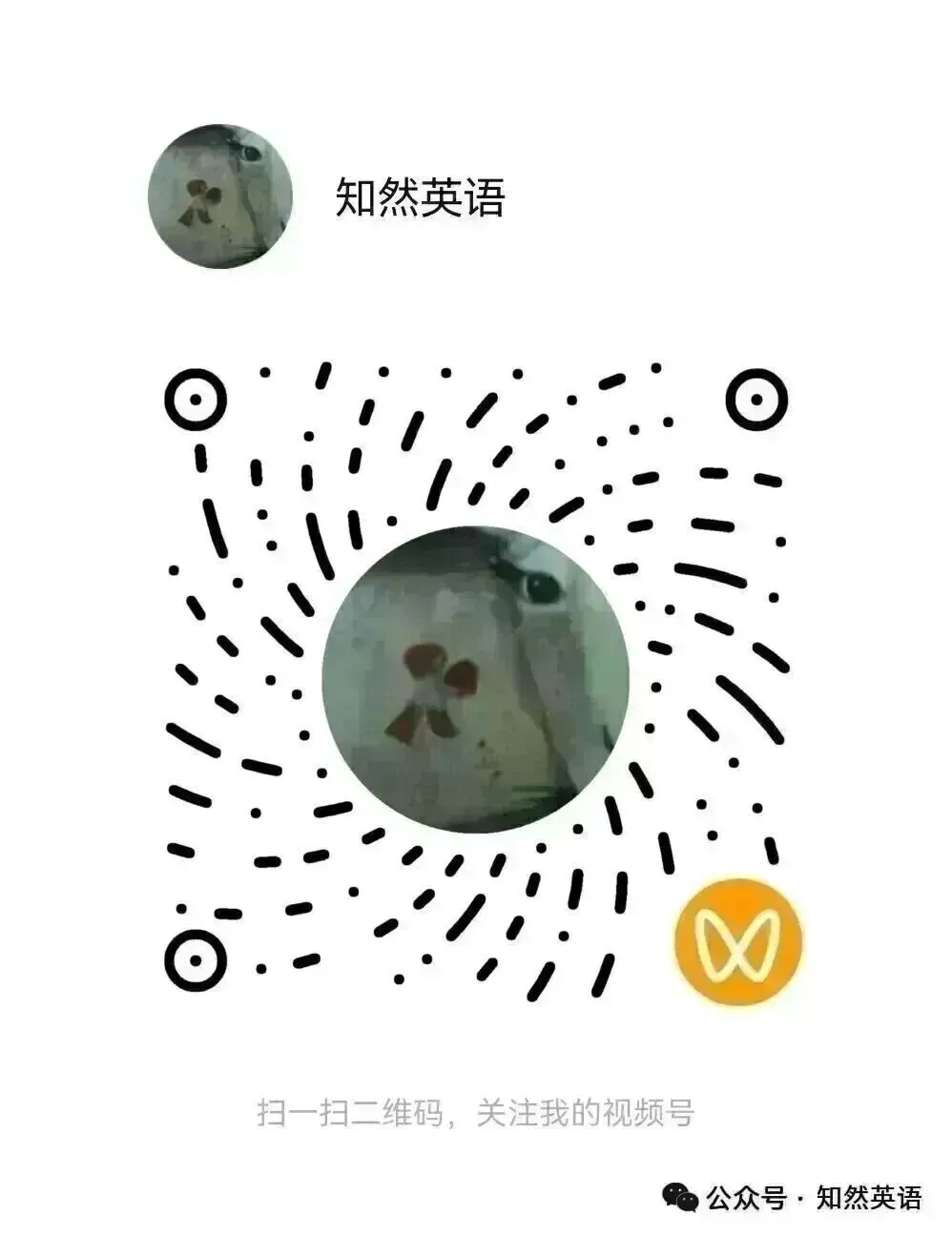 备战中考|人教版九年级重点单词训练U7-14及答案 第2张