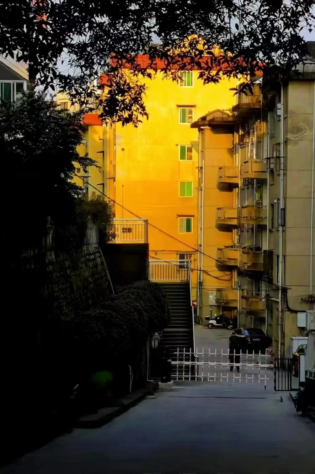 福建中考 |2026年体育中考标准示范视频 第9张