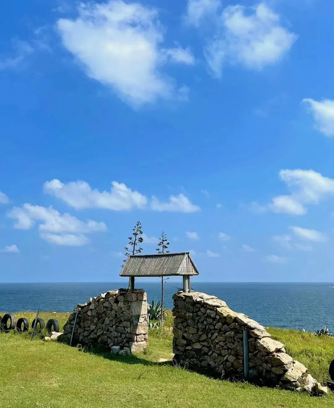 福建中考 |2026年体育中考标准示范视频 第16张