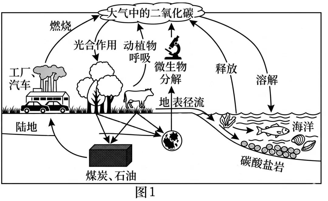 2026届河南省濮阳市高三上学期第一次模拟考试地理试题 第8张