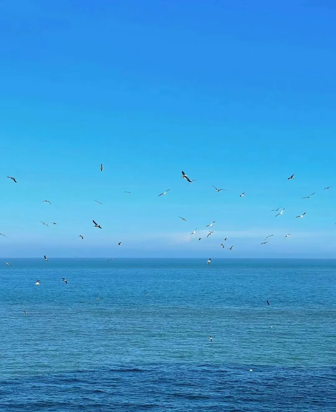 福建中考 |2026年体育中考标准示范视频 第18张