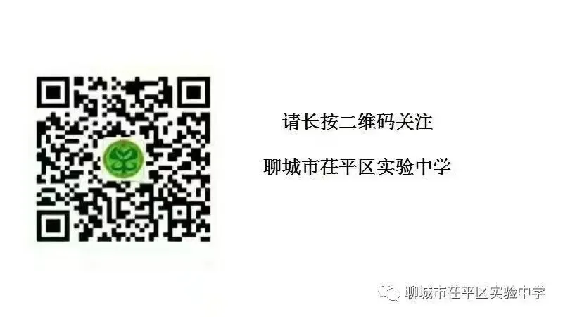 冲刺中考,为梦而战——聊城市茌平区实验中学2026届中考誓师大会圆满举行 第25张