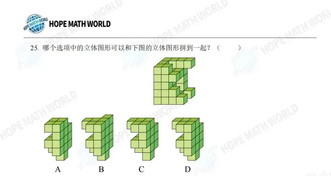 2026希望杯一年级往届真题试题分享,附答案解析,家长&孩子必看 第6张