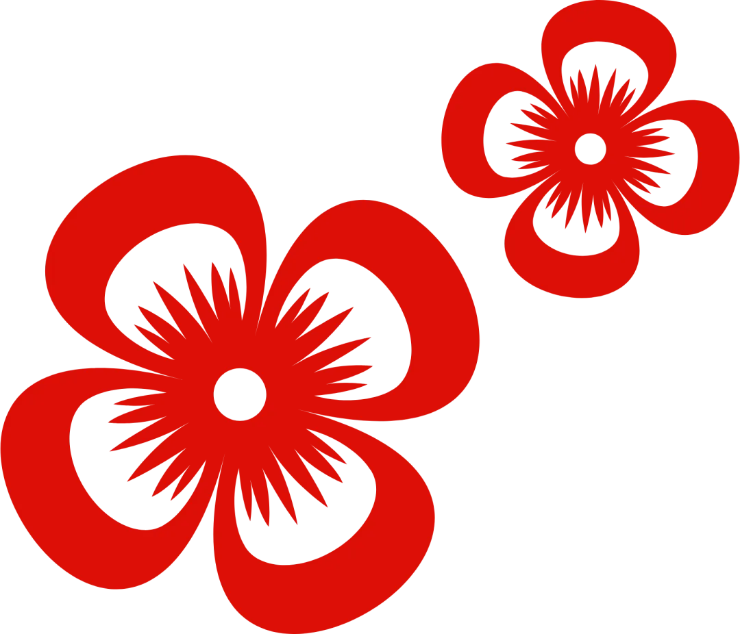 首届中考一鸣惊人!那香海苏外2026春季插班&新高一招生同步开启 第17张