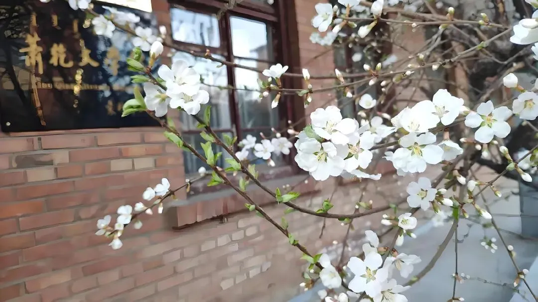 2026年高三学生年后第一次模拟考试结束了,参考意义大吗? 第7张