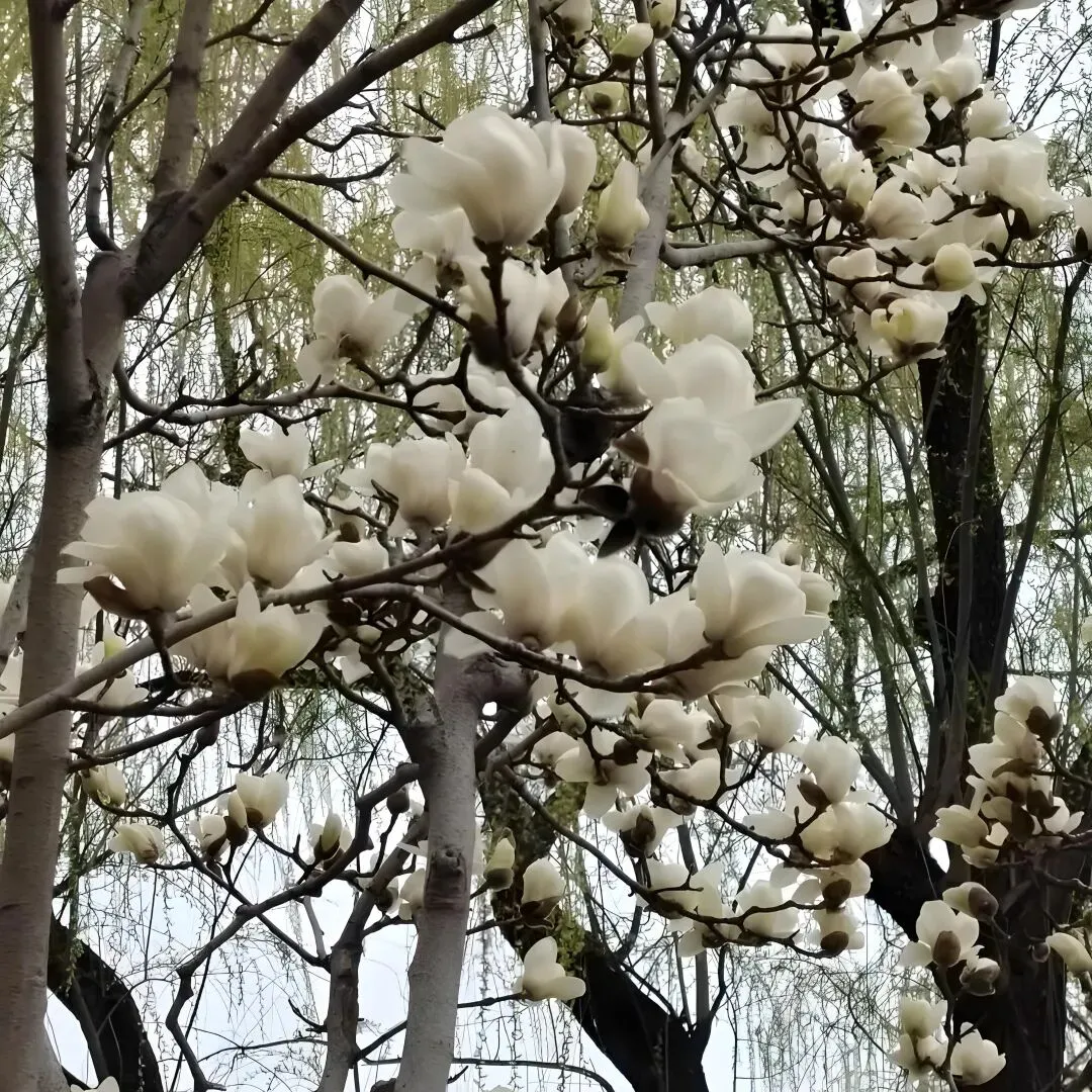 2026年高三学生年后第一次模拟考试结束了,参考意义大吗? 第8张