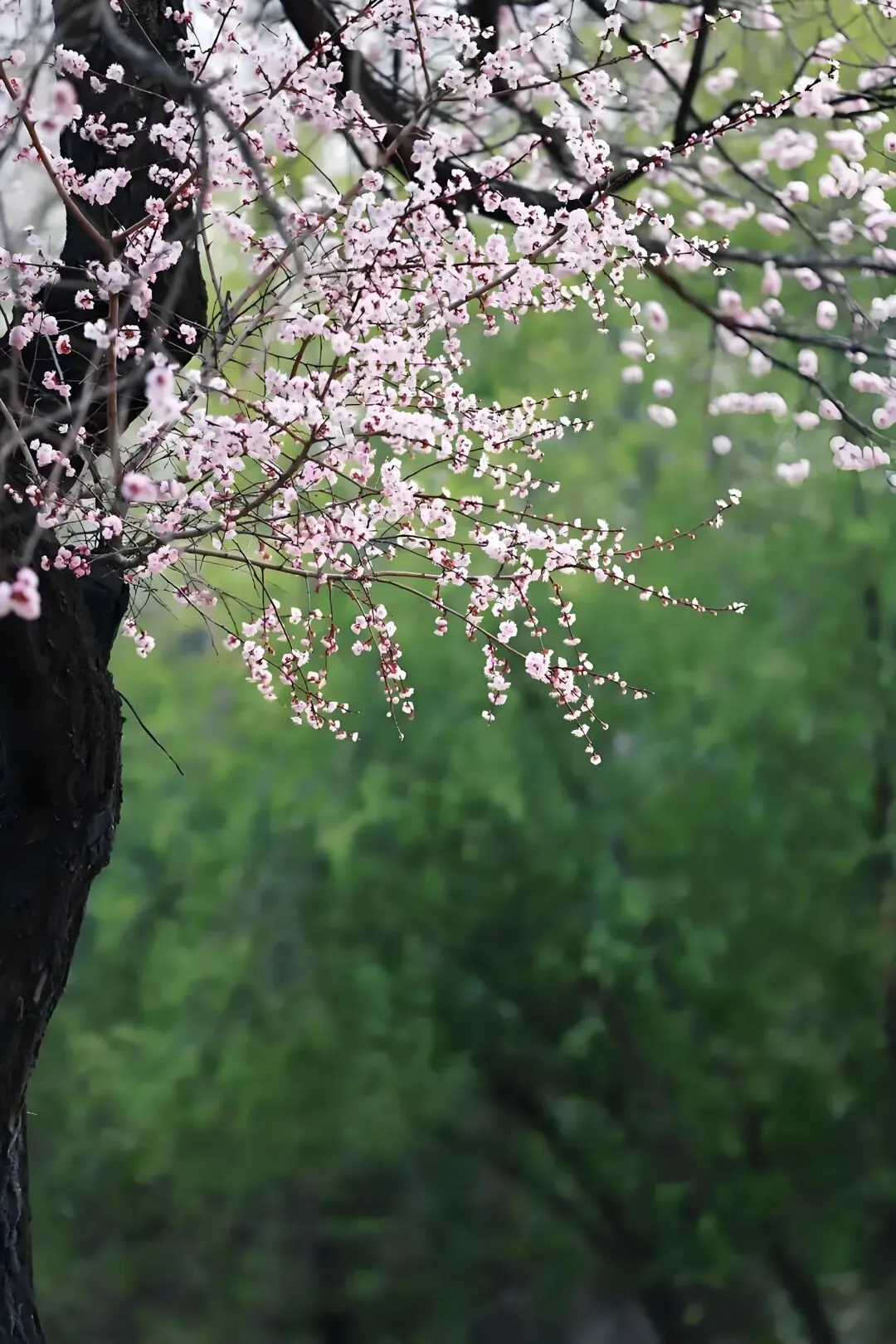 2026年高三学生年后第一次模拟考试结束了,参考意义大吗? 第9张