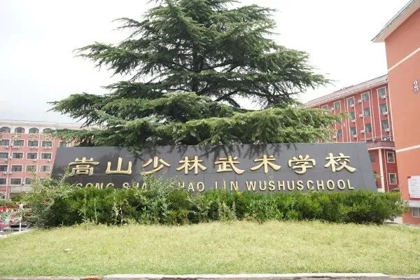 家长警惕:中考分流后,选错学校=耽误孩子一辈子,看完再择校 第6张