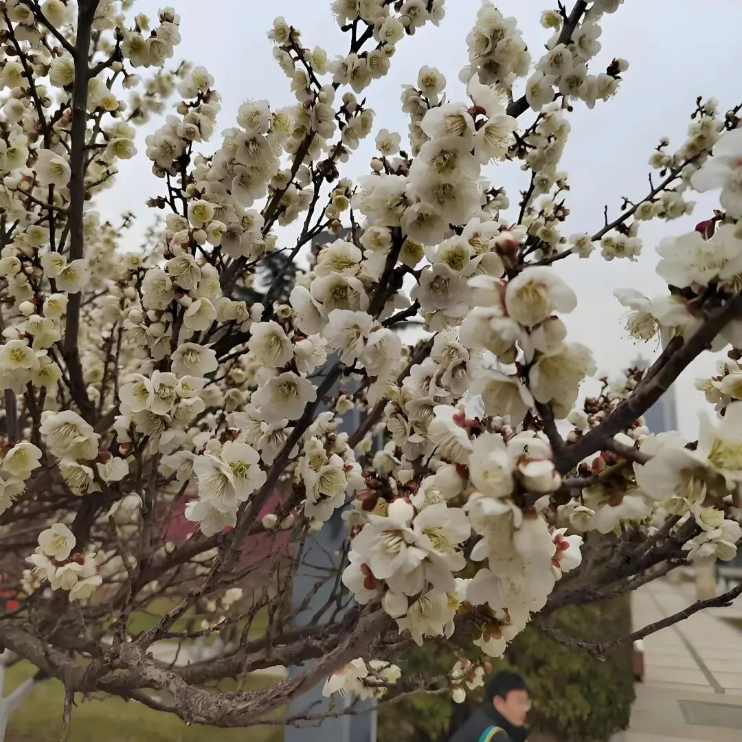 2026年高三学生年后第一次模拟考试结束了,参考意义大吗? 第10张