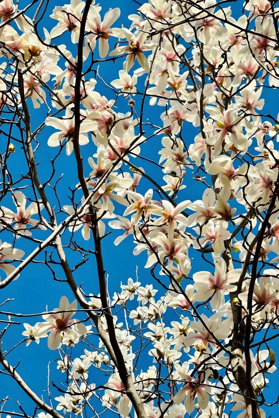 2026年高三学生年后第一次模拟考试结束了,参考意义大吗? 第11张