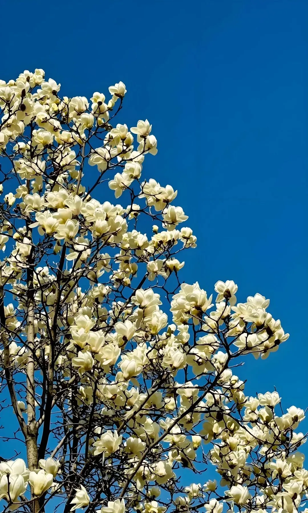 2026年高三学生年后第一次模拟考试结束了,参考意义大吗? 第12张