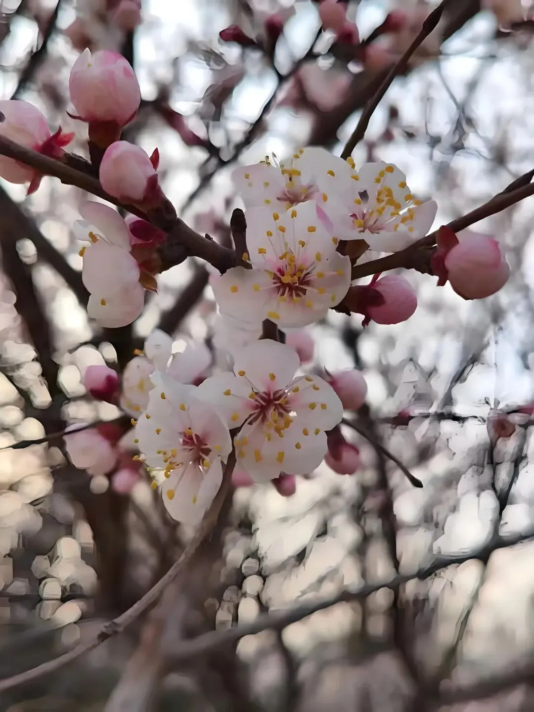 2026年高三学生年后第一次模拟考试结束了,参考意义大吗? 第13张