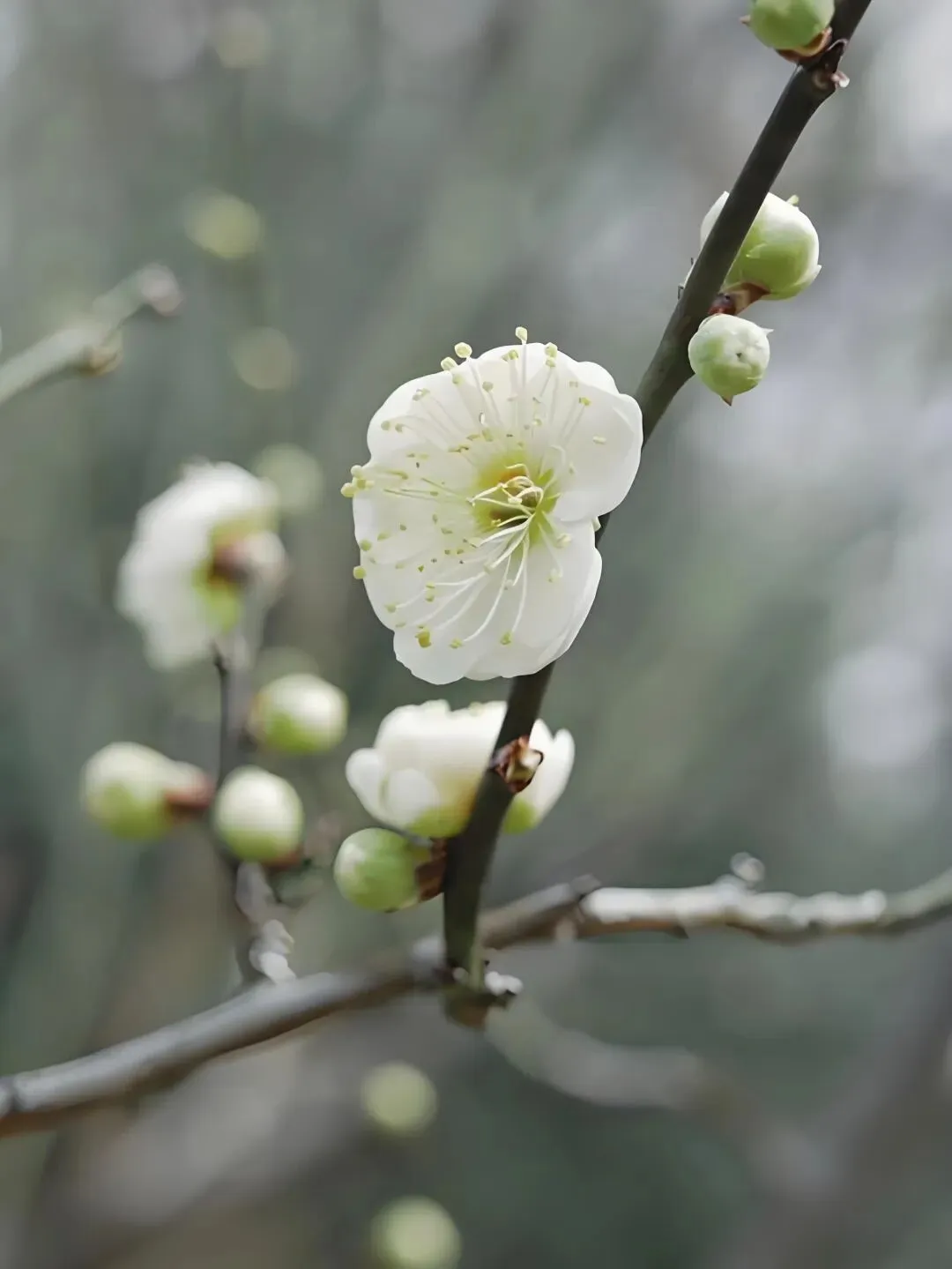 2026年高三学生年后第一次模拟考试结束了,参考意义大吗? 第14张