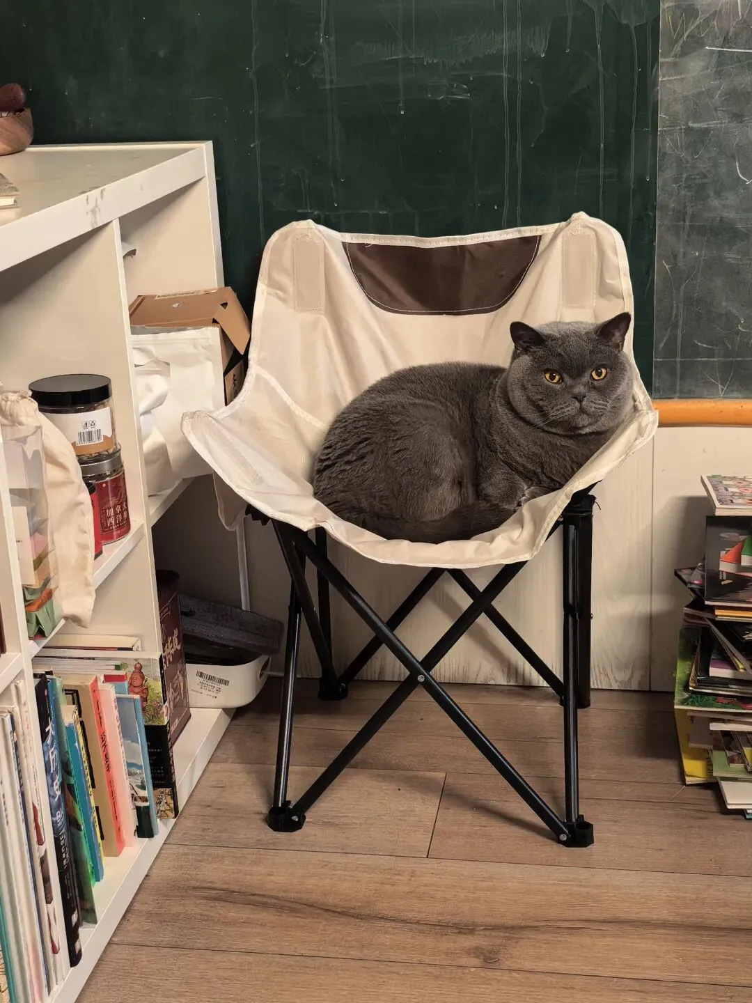 中考冲刺,做好“容器”——和萌姐终于聊上天啦 第3张