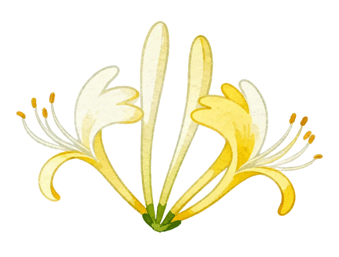 大变化!2026重庆中考语文作文升至60分,阅读大幅提分! 第5张