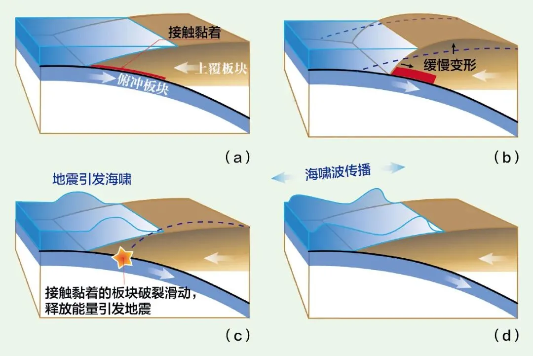 打卡真题|印度洋海啸(Day 52) 第11张