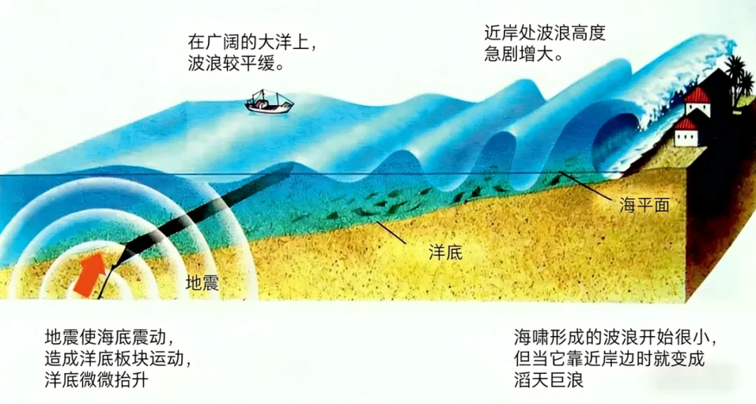 打卡真题|印度洋海啸(Day 52) 第12张