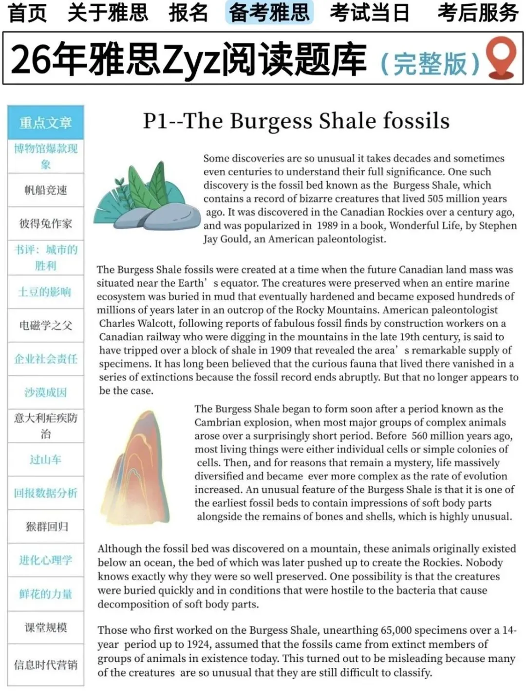 雅思阅读提分必看!ZYZ 老师真题解析,干货拉满 第12张