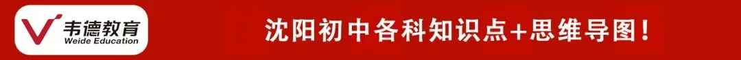 2025年沈阳初高中11月期中试卷及答案!(东北育才、省实验) 第5张
