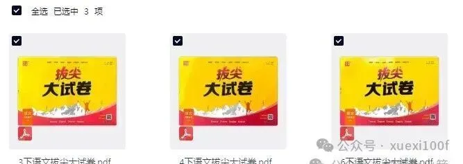 26春《拔尖大试卷》语文346年级下册完整电子DF免费下载 第1张