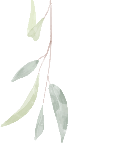 百日逐梦,决战中考 第10张