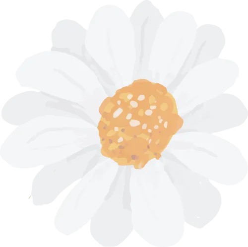 百日逐梦,决战中考 第31张