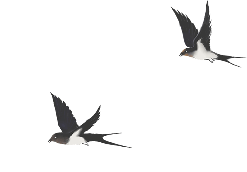 【莆田擢英中学】深耕试卷分析 精准把脉高考——地理教研组举行《莆田市高三市二检分析》主题教研活动 第6张