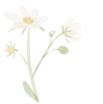 百日逐梦,决战中考 第44张