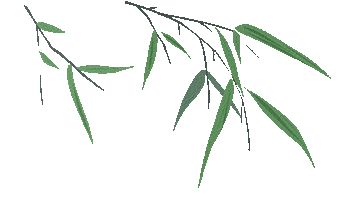 【莆田擢英中学】深耕试卷分析 精准把脉高考——地理教研组举行《莆田市高三市二检分析》主题教研活动 第11张