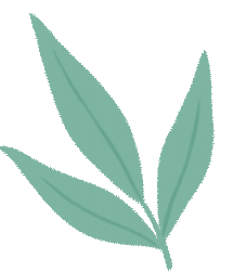 中考必读!青岛格兰德中学高中部报考指南 第7张