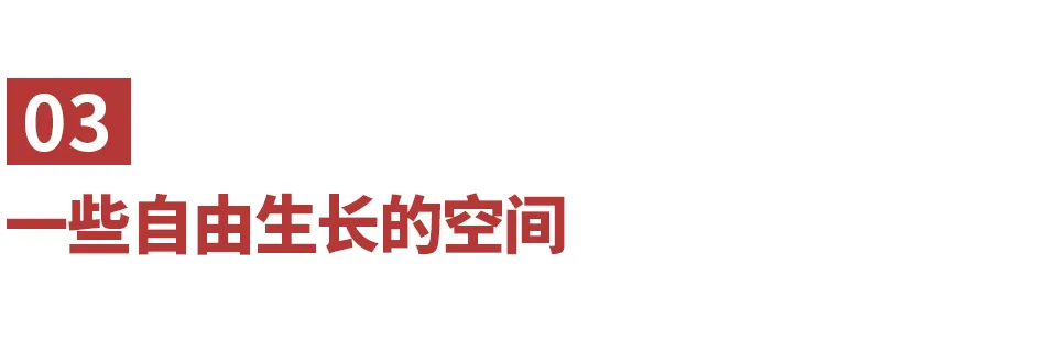 中考后,那40%“掉队”的孩子,后来怎么样了? 第8张
