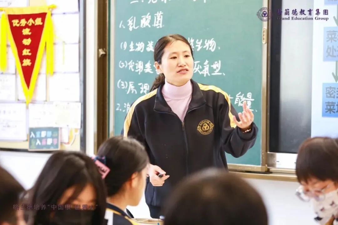 中考必读!青岛格兰德中学高中部报考指南 第17张