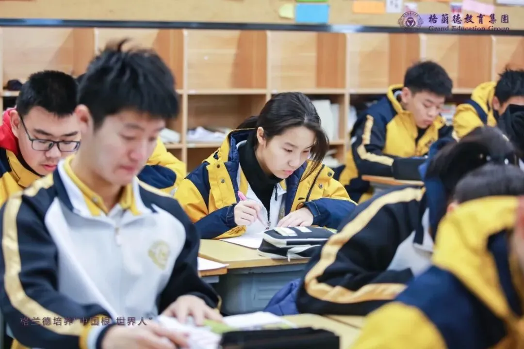 中考必读!青岛格兰德中学高中部报考指南 第23张
