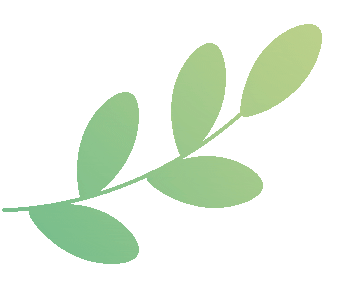 这么快,杭州市区体育中考就在下周启动!这周不少学生趁着好天气加紧训练,老师给出重要提醒 第5张