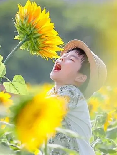 中考古诗词“地毯式”背诵攻略!七、八、九册考点全覆盖,背熟捡20分! 第78张