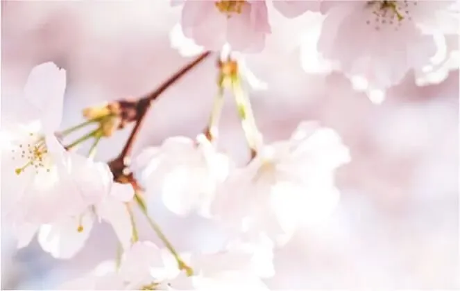 中考古诗词“地毯式”背诵攻略!七、八、九册考点全覆盖,背熟捡20分! 第97张