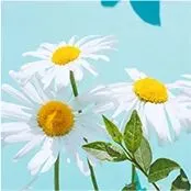 中考古诗词“地毯式”背诵攻略!七、八、九册考点全覆盖,背熟捡20分! 第148张