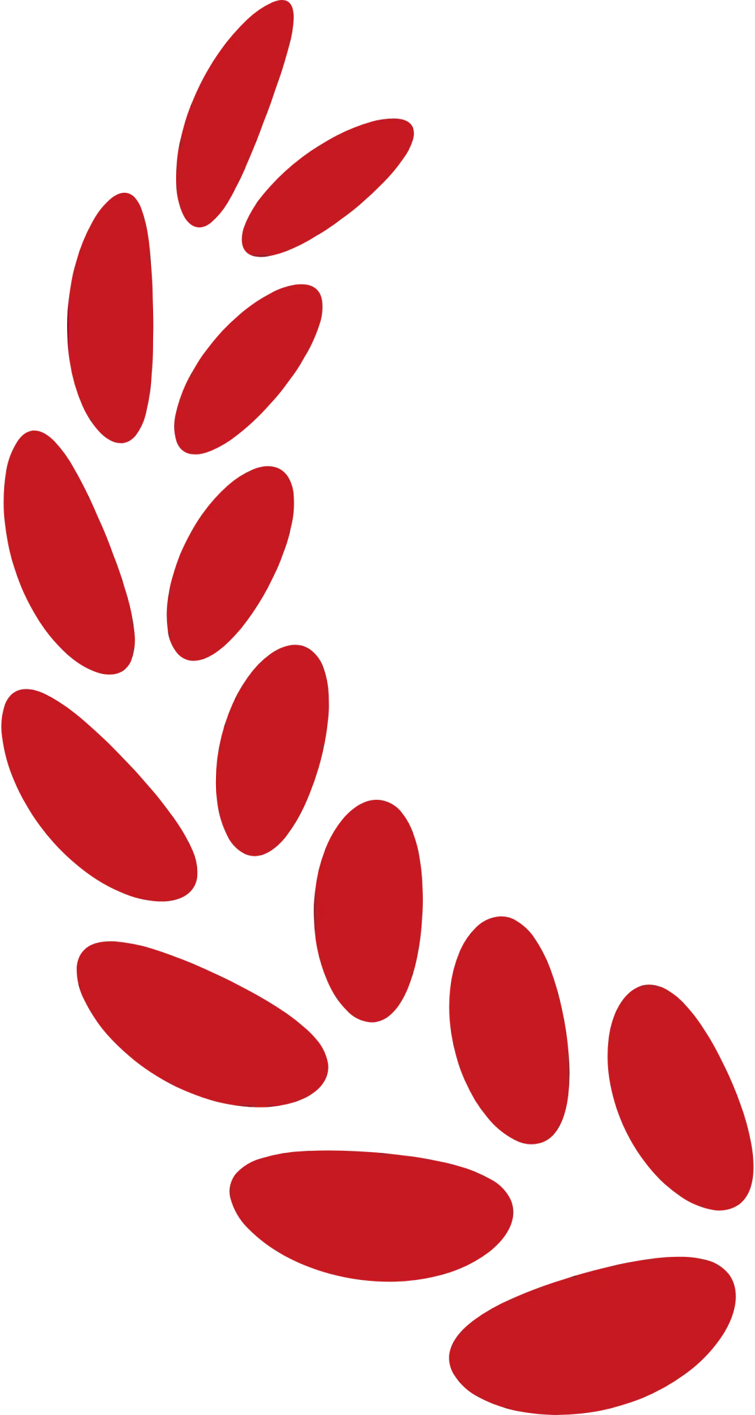 凝心聚力·决胜中考——初中部中考冲刺动员大会 第17张