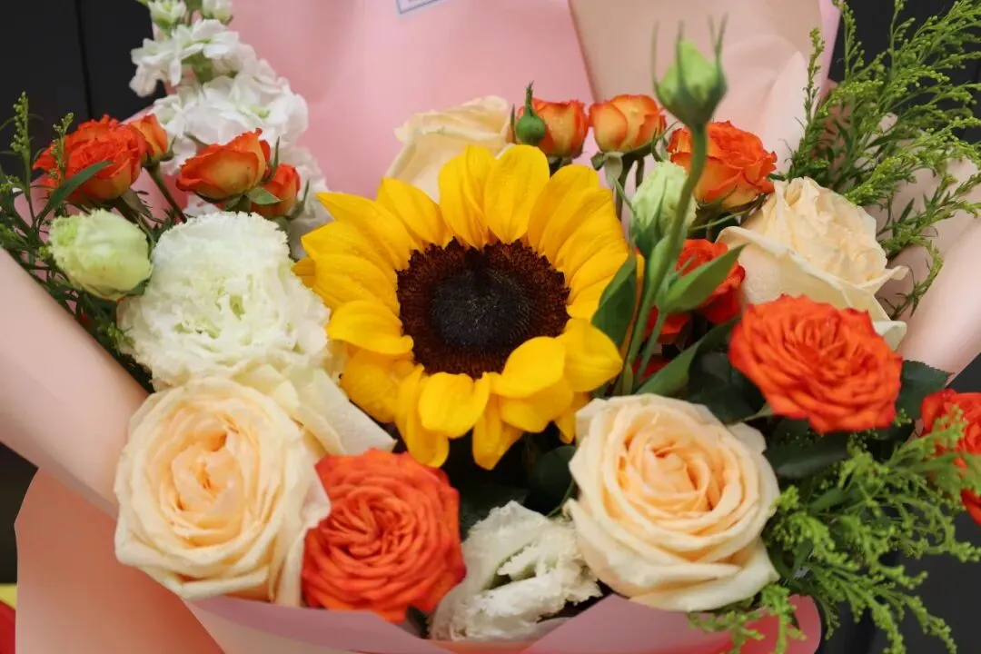 心有凌云志 百日踏歌行 | 2026中考倒计时100天誓师大会 第33张