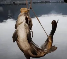 初中生物:中考会考选择题的解题高分技巧! 第2张