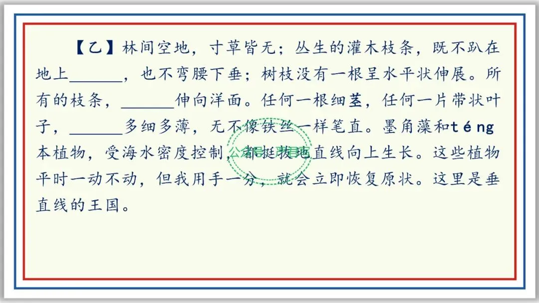 新品PPT七下:海底两万里 附中考真题43张精编版 第26张