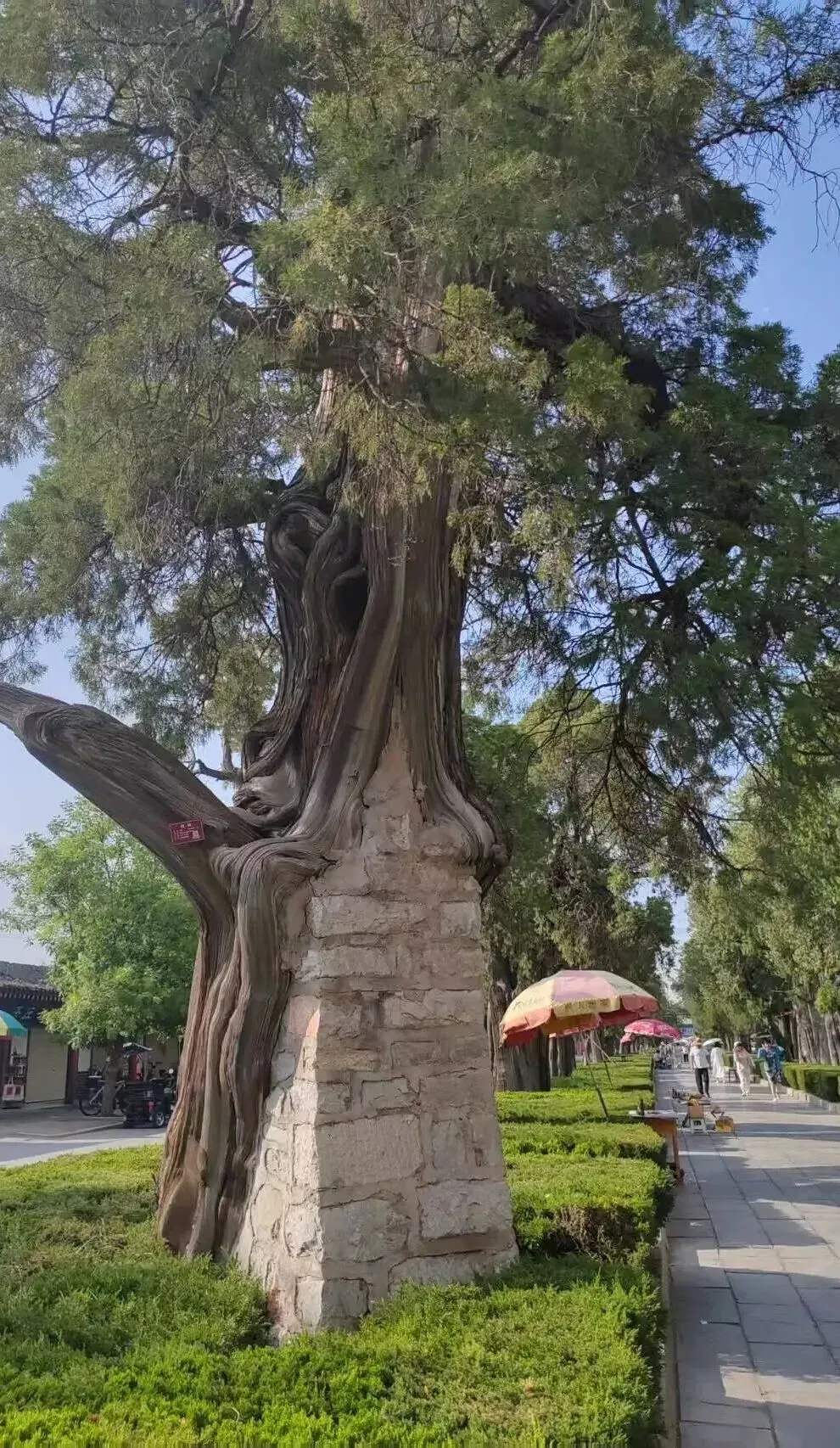 张旋 | 中考作文的境界与格局之(九)关注积累,让准备足一点 第2张