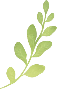 【试题分享】中考一轮总复习分册训练(七年下)暨2026届毕业班语文模拟试题(五) 第6张