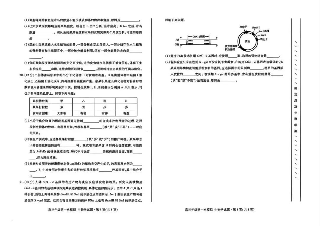 2026年高三年级第一次模拟考试化学、生物 、地理、政治试卷及答案(3月13号) 第23张
