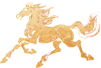 决战中考  梦想起航---霍州市向阳学校2026届中考百日誓师大会 第31张