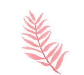 春研备考路,共话新征程—2026年中考英语复习研讨会 第1张